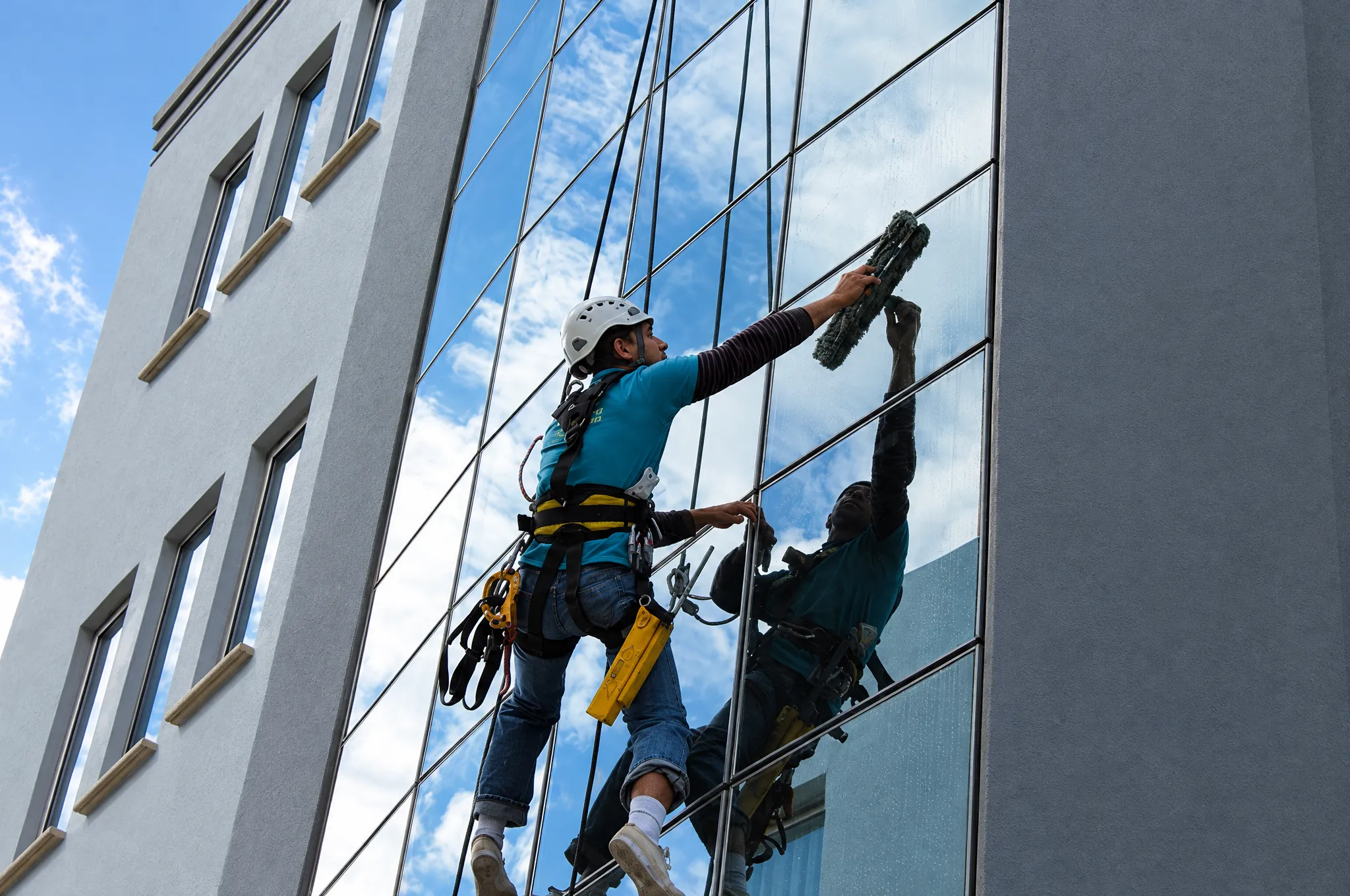 Two Absolute Clean technicians abseiling down a glass facade, cleaning the windows